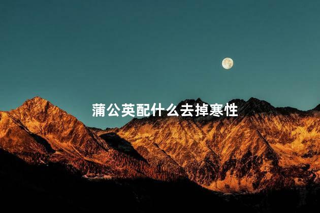 蒲公英配什么去掉寒性