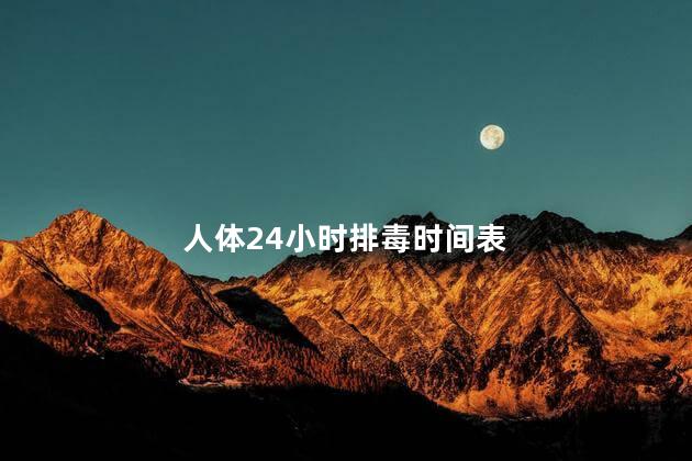 人体24小时排毒时间表