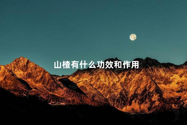 山楂有什么功效和作用