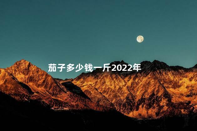 茄子多少钱一斤2022年