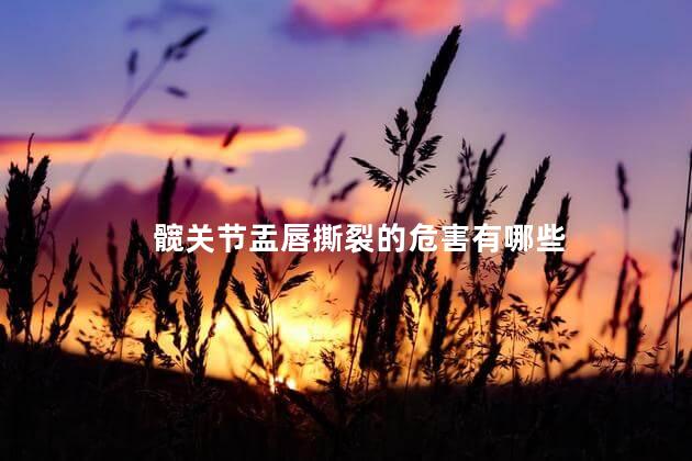 髋关节盂唇撕裂的危害有哪些