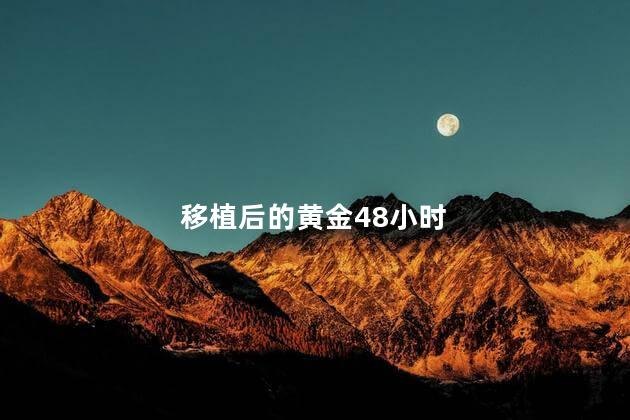 移植后的黄金48小时