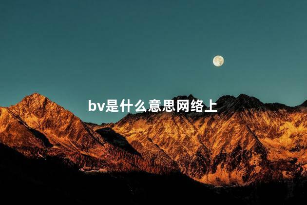 bv是什么意思网络上