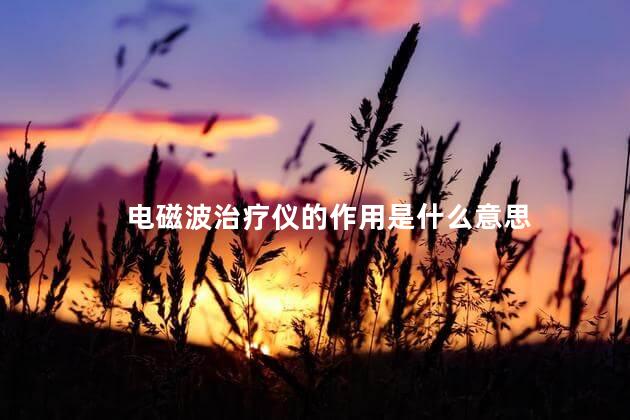 电磁波治疗仪的作用是什么意思