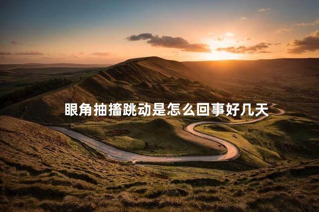 眼角抽搐跳动是怎么回事好几天