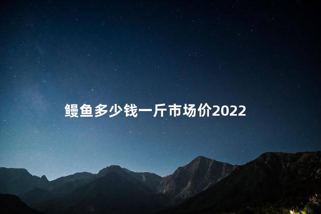 鳗鱼多少钱一斤市场价2022