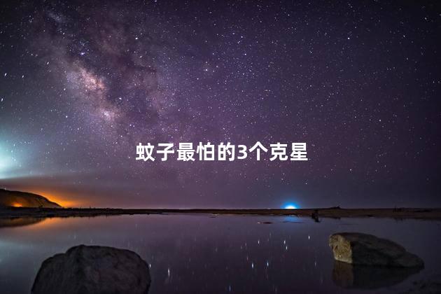 蚊子最怕的3个克星