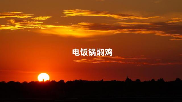 电饭锅焖鸡