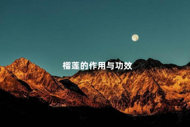 榴莲的作用与功效