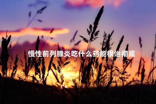 慢性前列腺炎吃什么药能根治彻底