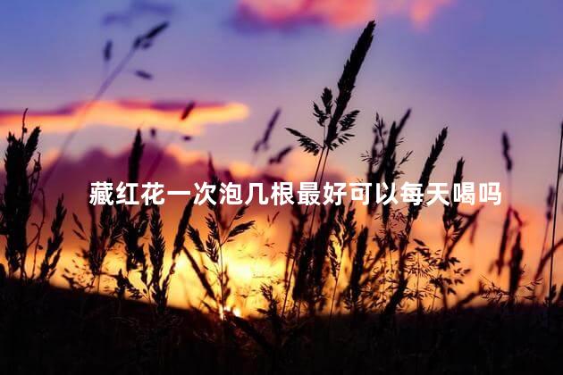 藏红花一次泡几根最好可以每天喝吗