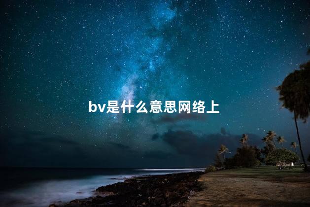 bv是什么意思网络上