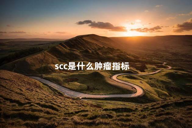 scc是什么肿瘤指标