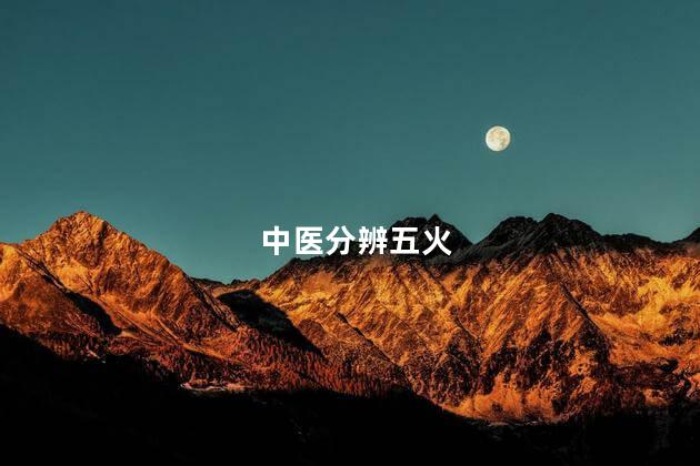 中医分辨五火