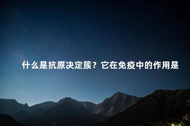 什么是抗原决定簇？它在免疫中的作用是什么？