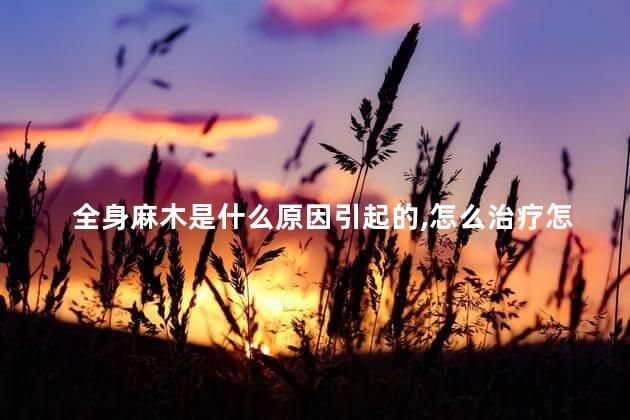 全身麻木是什么原因引起的,怎么治疗怎么针炙