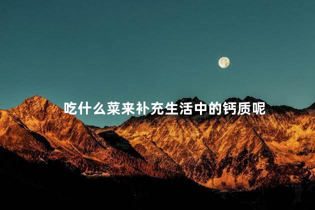 吃什么菜来补充生活中的钙质呢