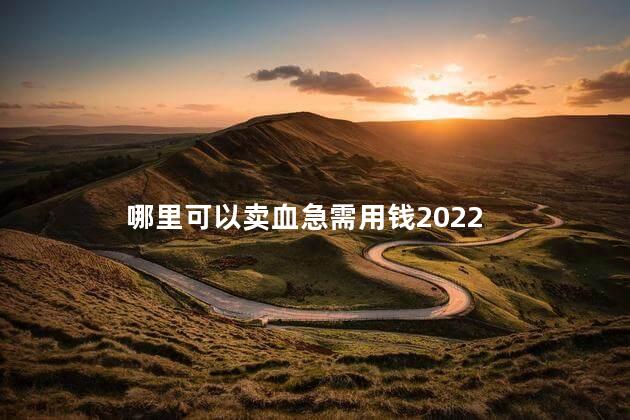 哪里可以卖血急需用钱2022