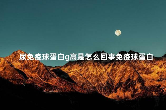 尿免疫球蛋白g高是怎么回事免疫球蛋白M偏低