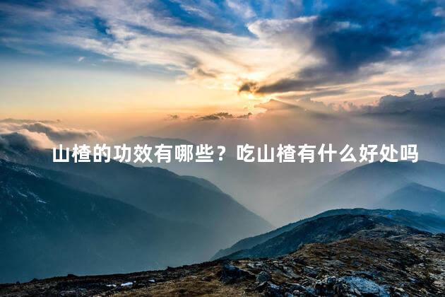 山楂的功效有哪些？吃山楂有什么好处吗