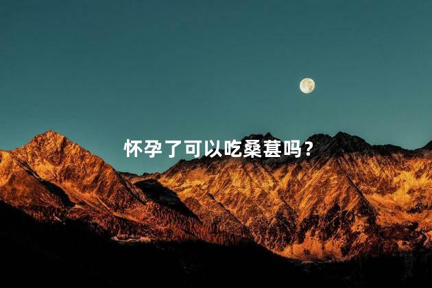 怀孕了可以吃桑葚吗？