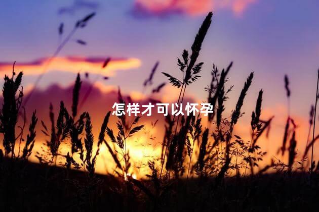 怎样才可以怀孕