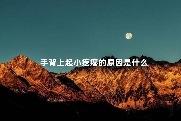 手背上起小疙瘩的原因是什么