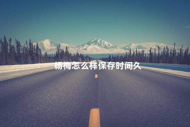 杨梅怎么样保存时间久