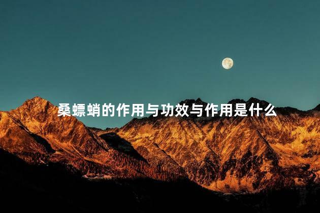 桑螵蛸的作用与功效与作用是什么