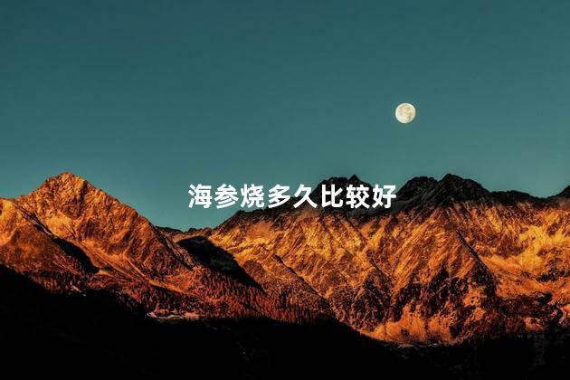 海参烧多久比较好