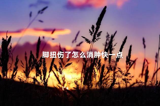 脚扭伤了怎么消肿快一点