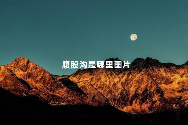 腹股沟是哪里图片