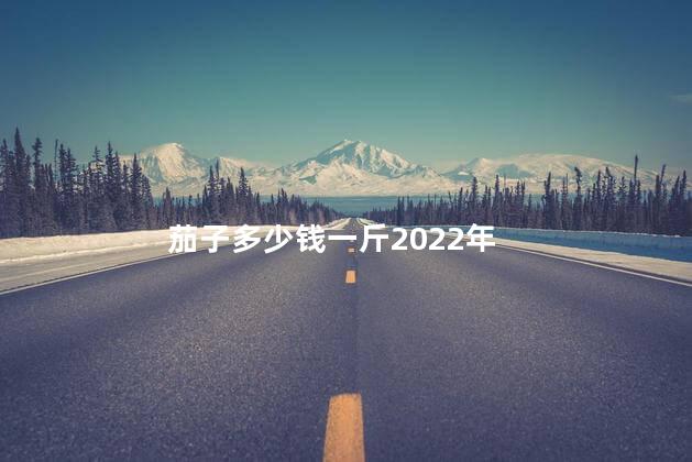 茄子多少钱一斤2022年