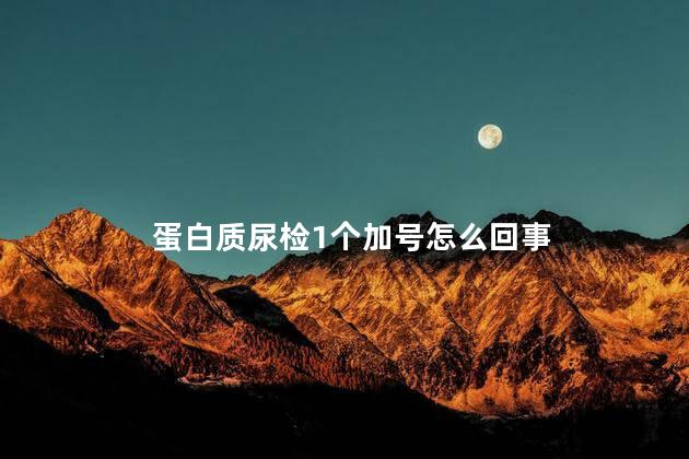 蛋白质尿检1个加号怎么回事