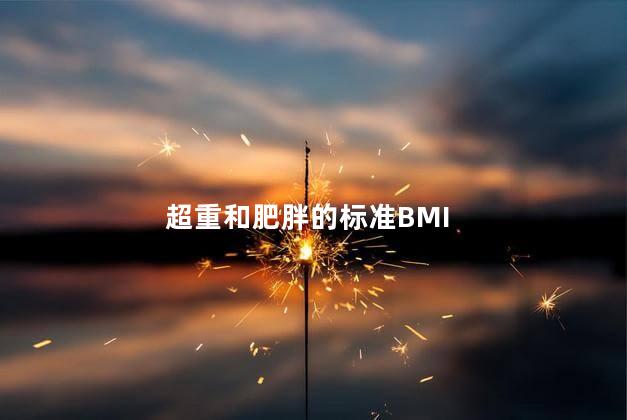 超重和肥胖的标准BMI