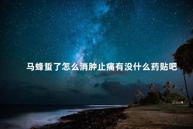 马蜂蜇了怎么消肿止痛有没什么药贴吧